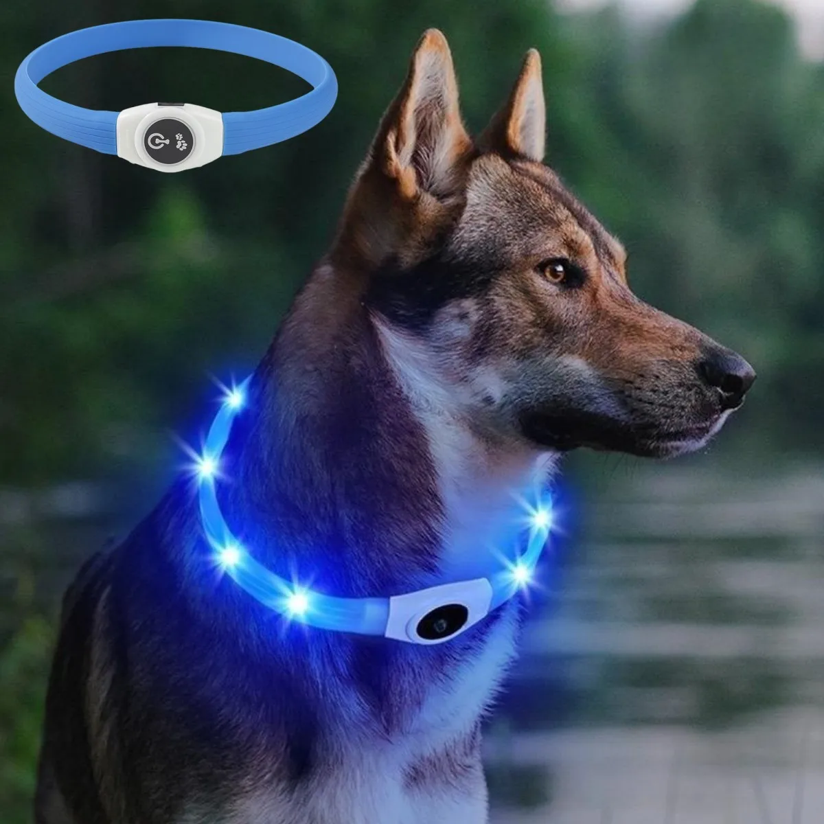 Pet Supplies In Bulk - New Led Luminous Dog Collar PVC