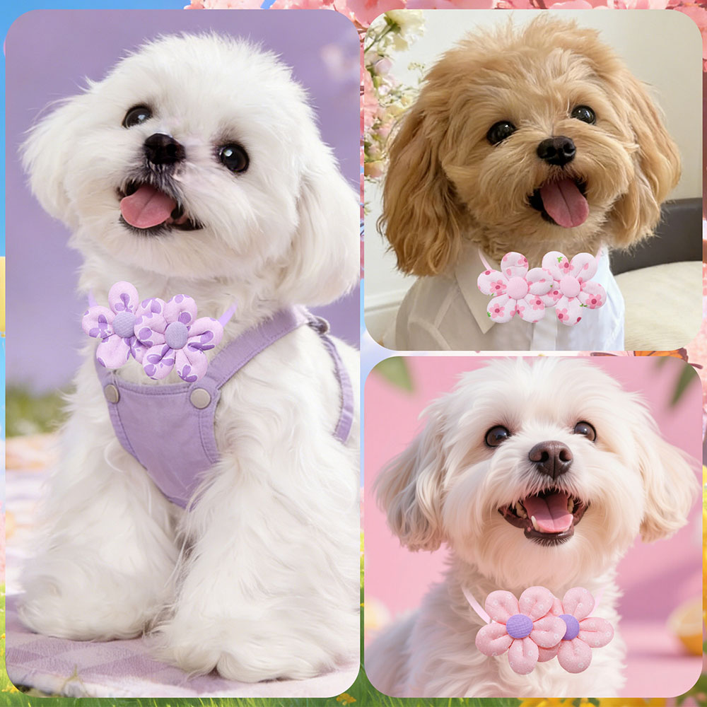 10PCS Flower Shape Sweet Dog B - огляд і ціна Pet Supplies In Bulk