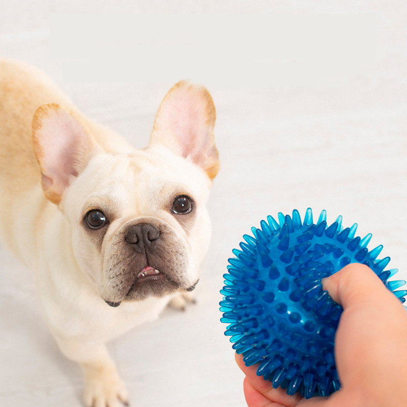 High Elasticity French Bulldog - огляд і ціна Pet Supplies In Bulk