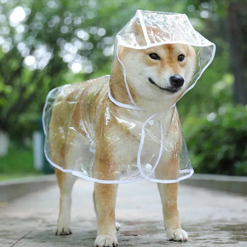 Dog Raincoat Puppy Transparent - огляд і ціна Dog Raincoat