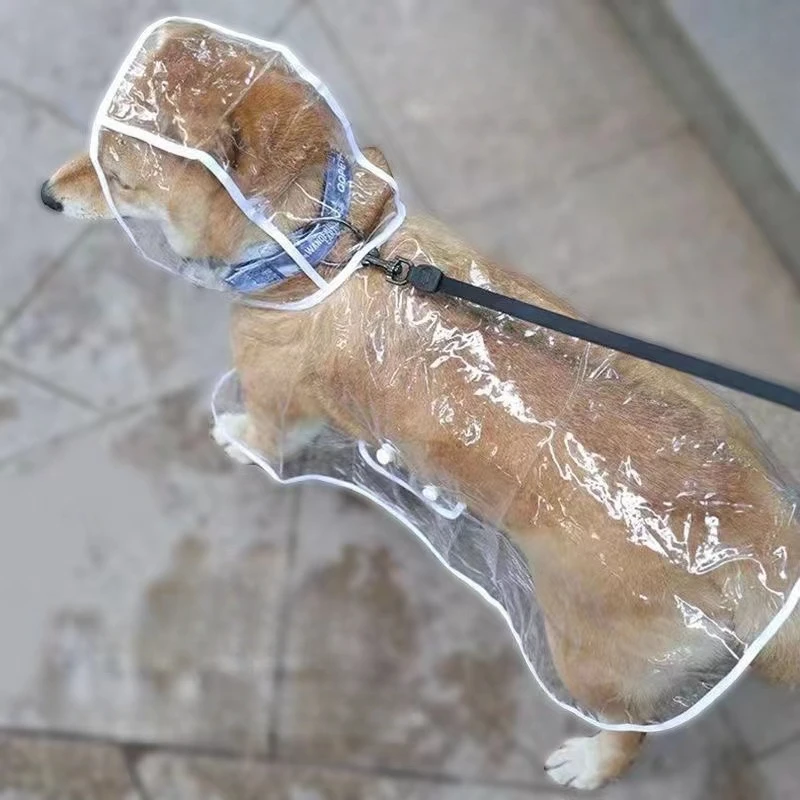 Dog Raincoat Puppy Transparent - огляд і ціна Dog Raincoat