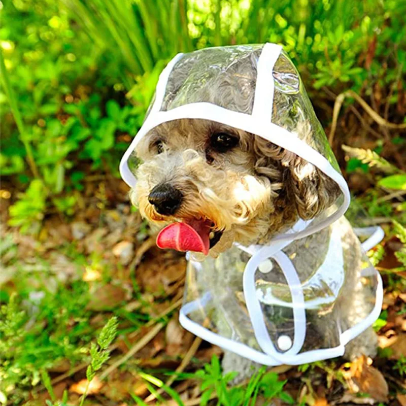 Dog Raincoat Puppy Transparent - огляд і ціна Dog Raincoat
