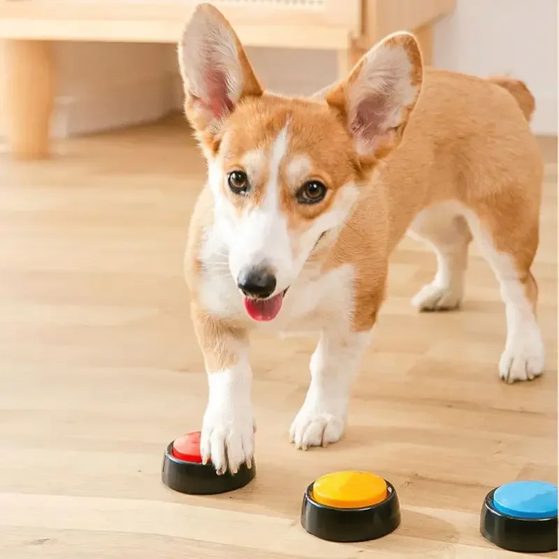 2026 Recordable Talking Pet Bu - огляд і ціна Interactive Cat Toy