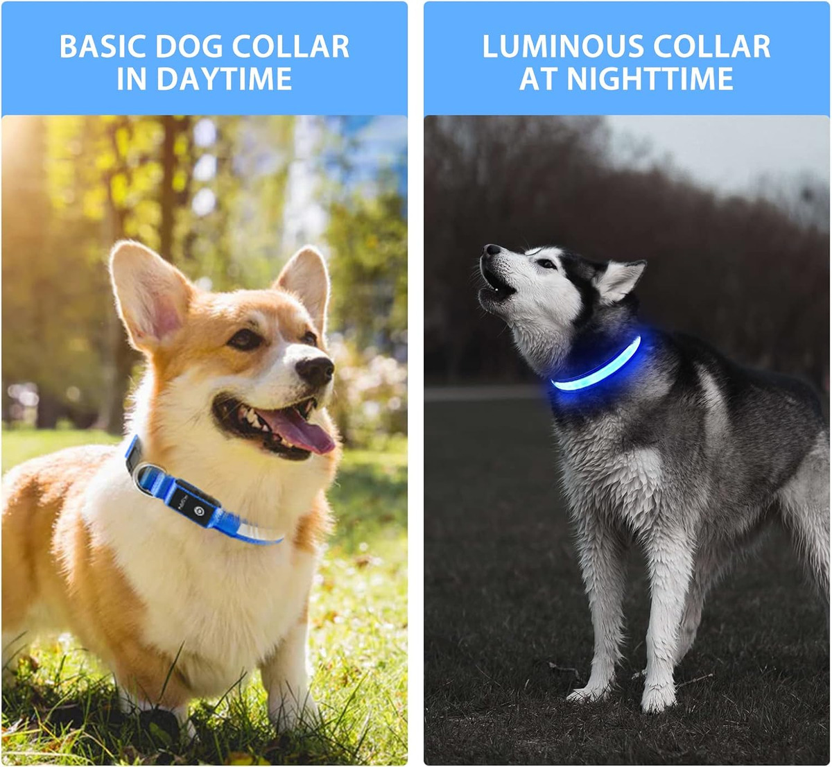 USB LED Dog Collar Lights - Ad - огляд і ціна Pet Supplies In Bulk