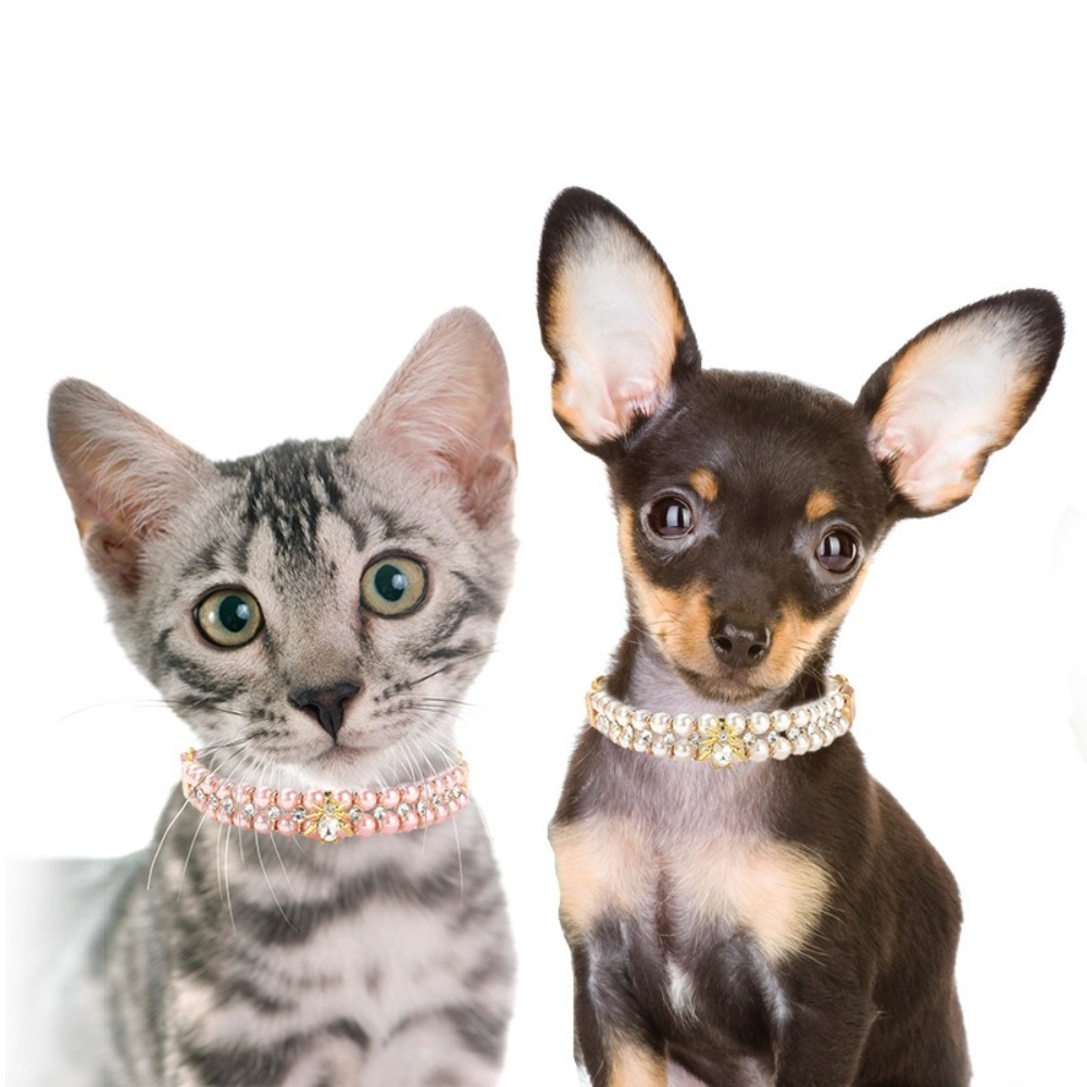 Adjustable Dog Cat Pearl Colla - огляд і ціна Pet Supplies In Bulk