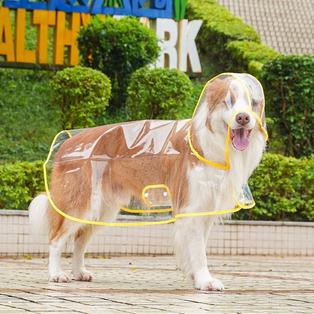 Dog Raincoat Transparent Whole - огляд і ціна Dog Raincoat